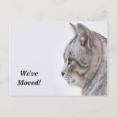 Tiffany引っ越しました新しい住所はがき 案内ポストカード (正面)