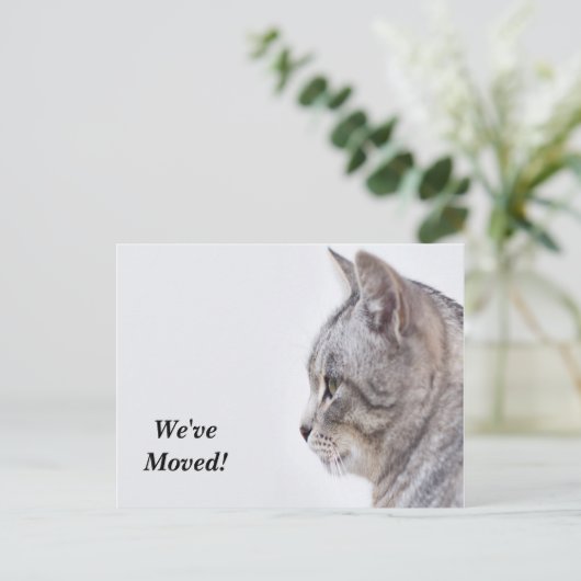 Tiffany引っ越しました新しい住所はがき 案内ポストカード (スタンド正面)