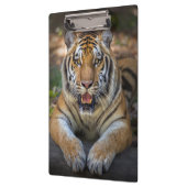 Tigerクリップボード クリップボード (左)