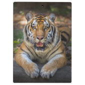 Tigerクリップボード クリップボード (裏面)