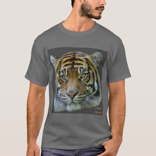 tiger1_dk.grey/bgrnd tシャツ (正面)