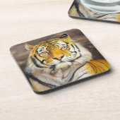 tiger  コースター (左側)