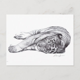 Tiger – ペンとインク ポストカード