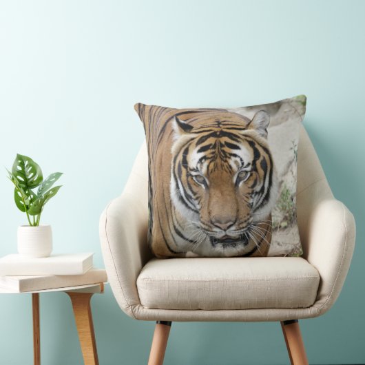 Tiger_001 クッション (椅子)