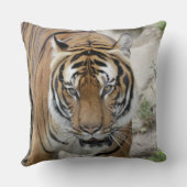 Tiger_001 クッション (裏面)