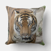 Tiger_001 クッション (正面)