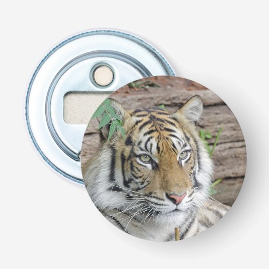 Tiger_002 栓抜き (正面)