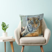 Tiger 034 クッション (椅子)