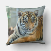 Tiger 034 クッション (裏面)