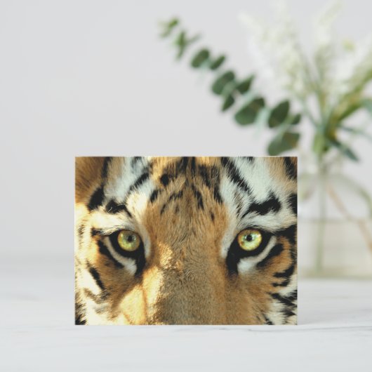 Tiger 1 – はがき (スタンド正面)