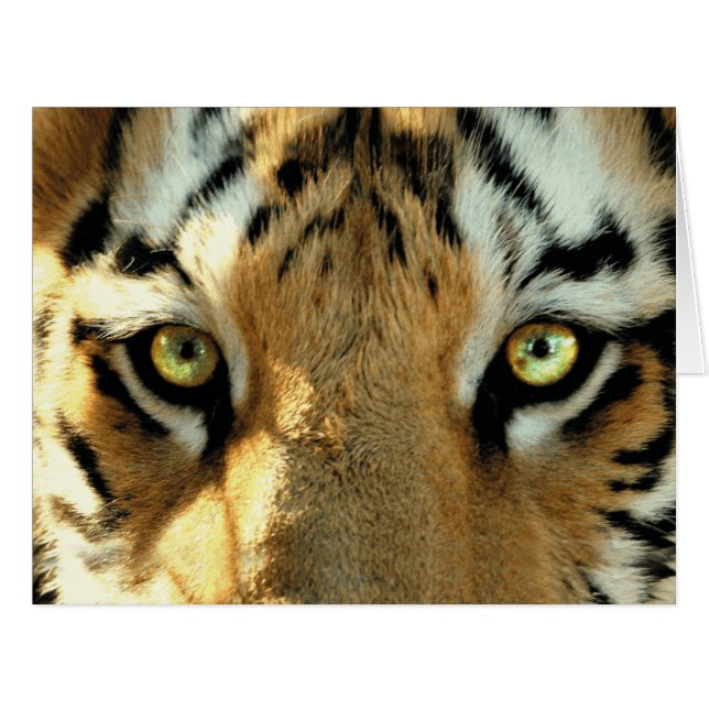 Tiger 1 – グリーティングカード (正面横)