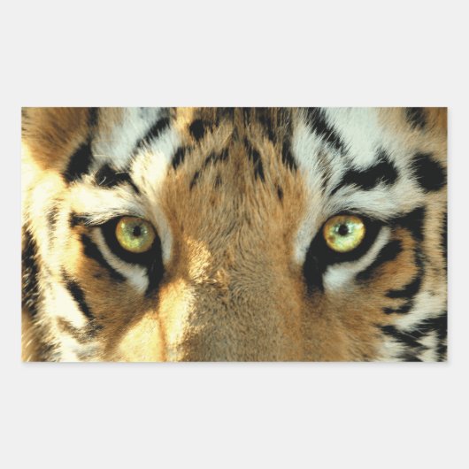 Tiger 1 – ステッカー (正面)