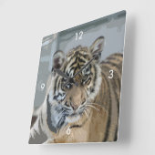 Tiger_2014_0901 スクエア壁時計 (傾斜)