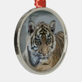 Tiger_2014_0901 メタルオーナメント (右)