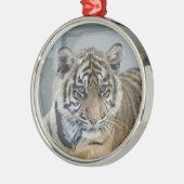Tiger_2014_0901 メタルオーナメント (左)