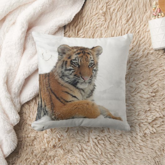 Tiger_2015_0102 クッション (ブランケット)