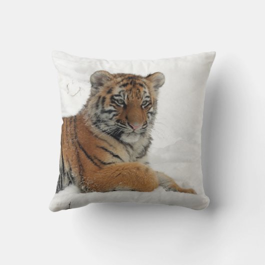 Tiger_2015_0102 クッション (裏面)