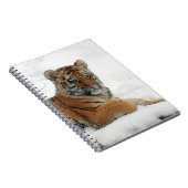 Tiger_2015_0102 ノートブック (右側)