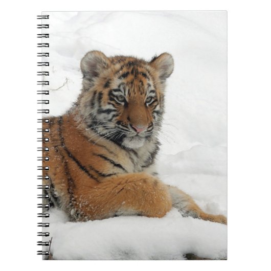 Tiger_2015_0102 ノートブック (正面)