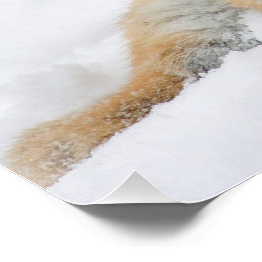 Tiger_2015_0103 ポスター (コーナー)