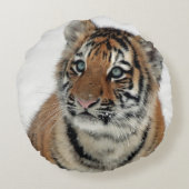Tiger_2015_0108 ラウンドクッション (裏面)