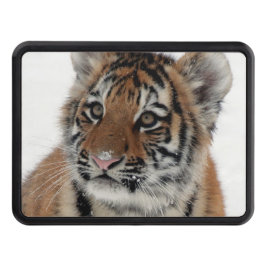 Tiger_2015_0114
