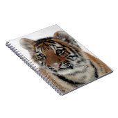 Tiger_2015_0114 ノートブック (右側)