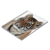 Tiger_2015_0114 ノートブック (左側)