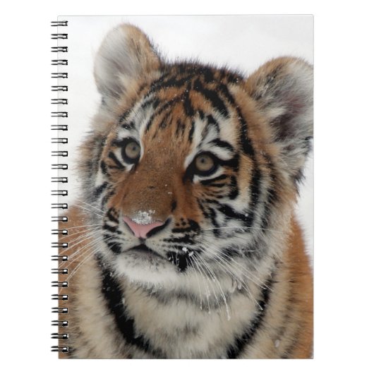 Tiger_2015_0114 ノートブック (正面)