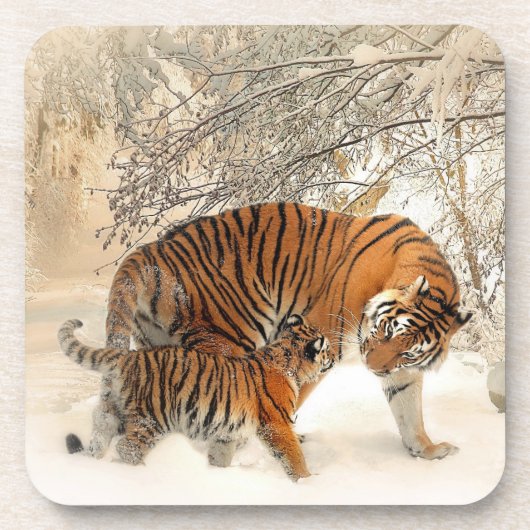 Tiger_2015_0125 コースター (正面)
