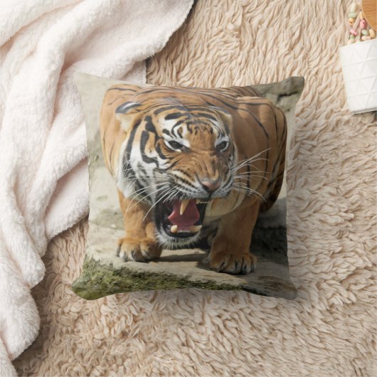 Tiger_2015_0156 クッション (ブランケット)