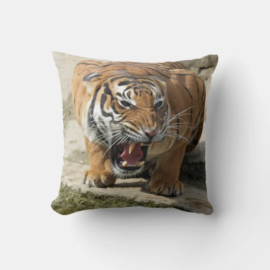 Tiger_2015_0156 クッション (正面)