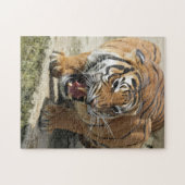 Tiger_2015_0156 ジグソーパズル (横)