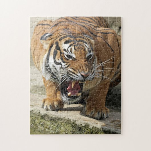 Tiger_2015_0156 ジグソーパズル (縦)