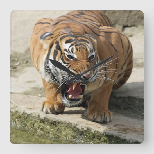 Tiger_2015_0156 スクエア壁時計 (正面)
