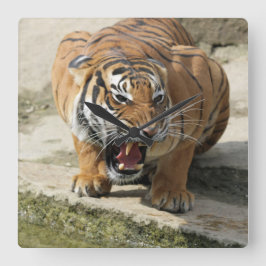 Tiger_2015_0156 スクエア壁時計