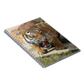 Tiger_2015_0156 ノートブック (右側)
