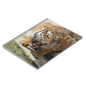 Tiger_2015_0156 ノートブック (左側)