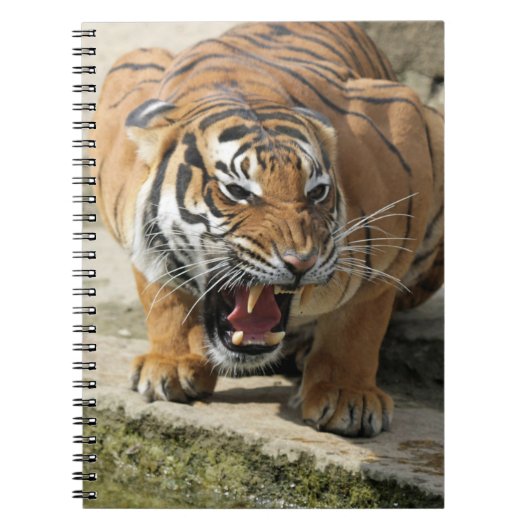 Tiger_2015_0156 ノートブック (正面)