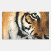 Tiger 2 – ステッカー (正面)
