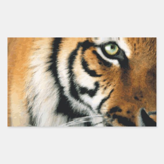 Tiger 2 – ステッカー (正面)