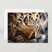 Tiger 3 – はがき (正面/裏面)