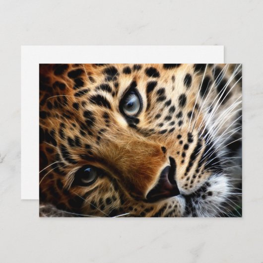 Tiger 3 – はがき (正面/裏面)