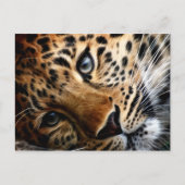 Tiger 3 – はがき (正面)