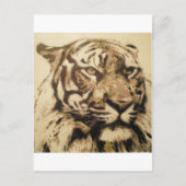 tiger 50x50 2012 ポストカード (正面)