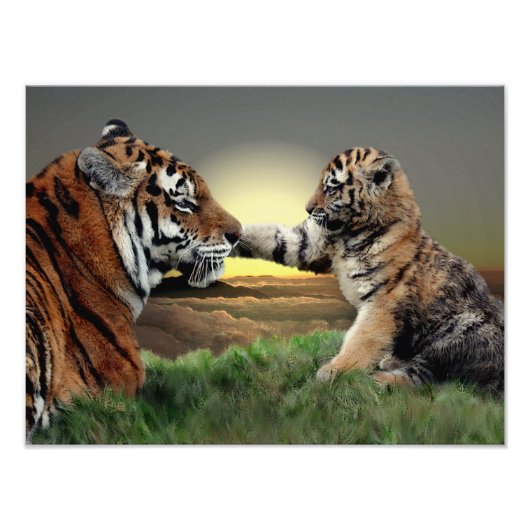 Tiger and Cub Digital Editionプリント フォトプリント (正面)