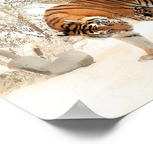 Tiger and cub in snow poster ポスター (角)