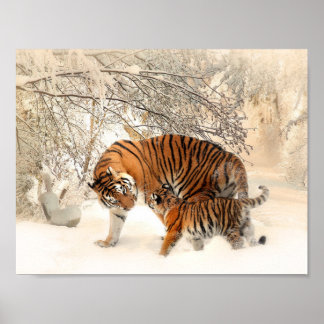 Tiger and cub in snow poster ポスター