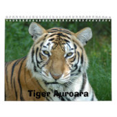 Tiger_Aroara012のトラAuroara カレンダー (カバー)