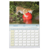 Tiger_Aroara012のトラAuroara カレンダー (2月 2027)